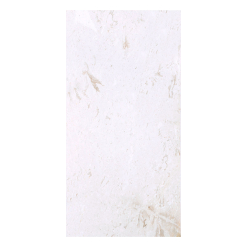 Płytka kamienna wapień Belleza polerowany 61x30,5x1,2 cm