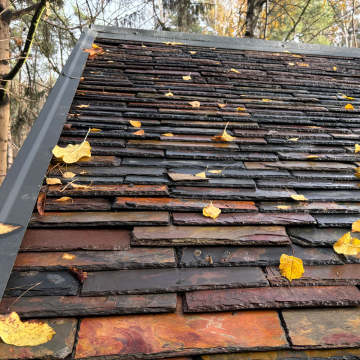 Płytka kamienna łupek Multi Mushroom naturalny 30x15x0,7-1,2 cm