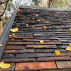 Płytka kamienna łupek Multi Mushroom naturalny 30x15x0,7-1,2 cm